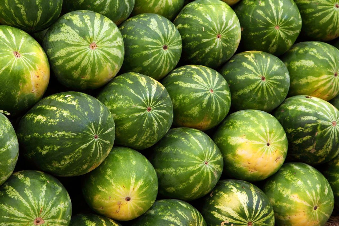watermelons-2636_1280.jpg