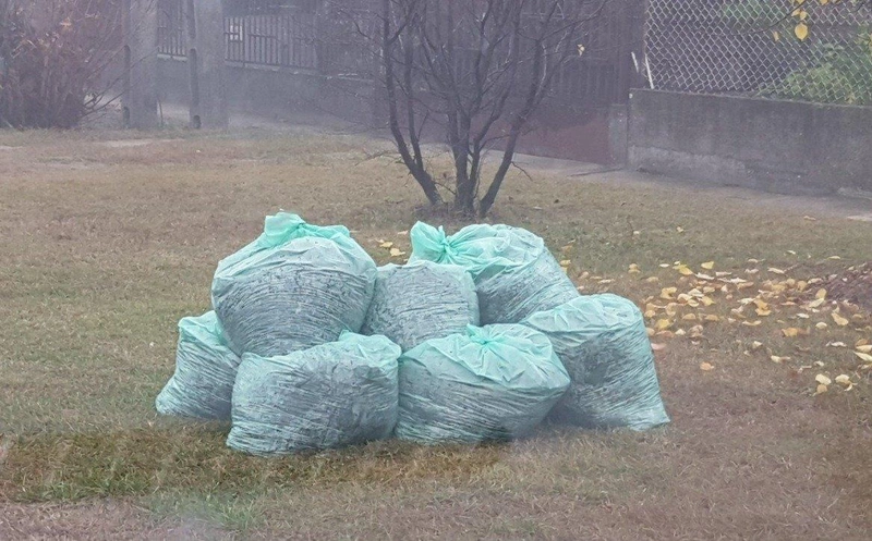 zsak4.jpg